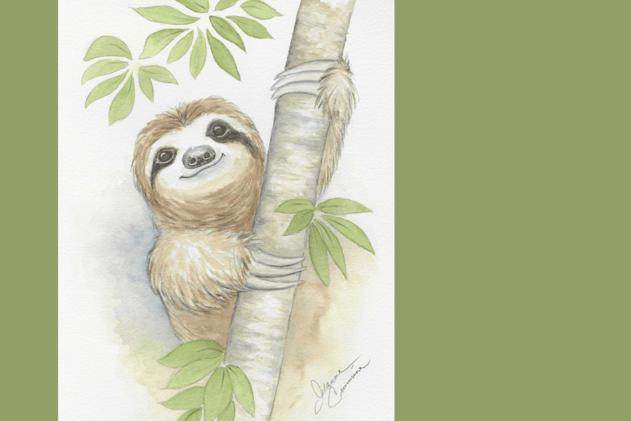 sloth on tree branch with leaves
