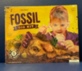 fossil dig kit dig up 12 real fossils