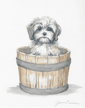 puppy in a barrel