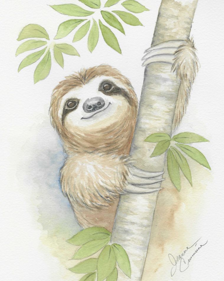 sloth holding onto branch with leaves