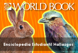 Rabbit bird World Book Enciclopedia Estudiantil Hallazgos 