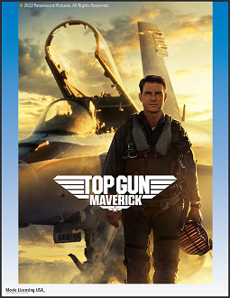 male pilot airplane