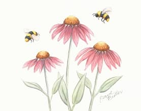 3 pink flower stems 2 yellow and black bees