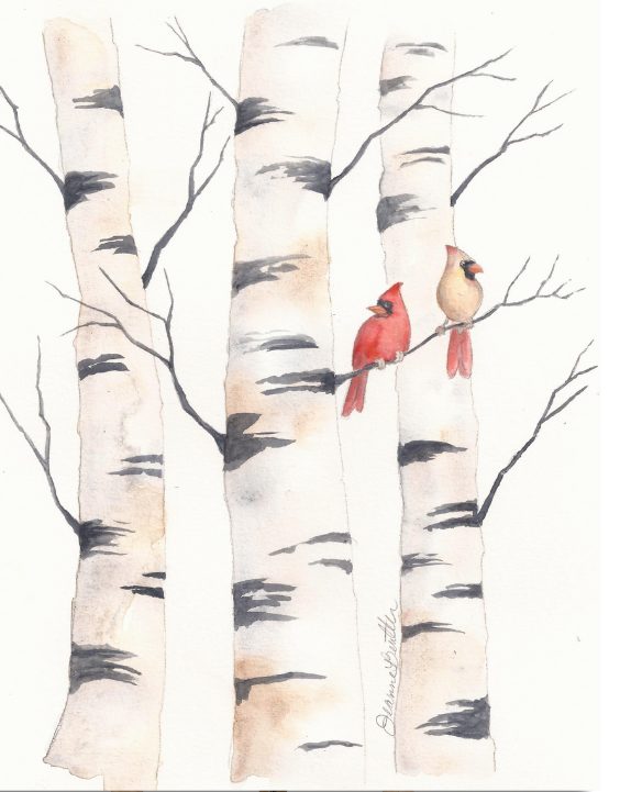 2 cardinals birch trees