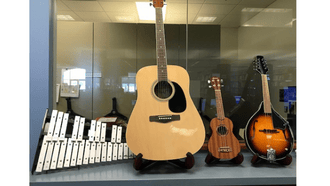 bell kit guitar mandolin ukelele