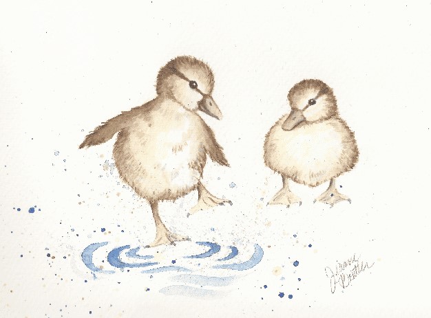 2 ducks water puddle