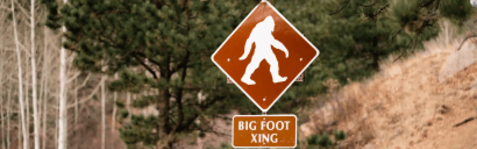 woods with a Bigfoot crossing sign