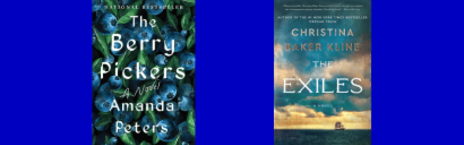 Book Jackets The Berry Pickers by Amanda Peters  The Exiles by Christina Baker Kline