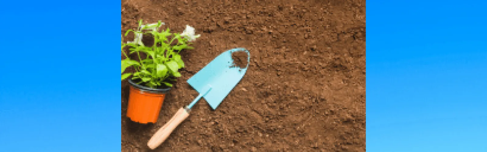 potted plant trowel on dirt