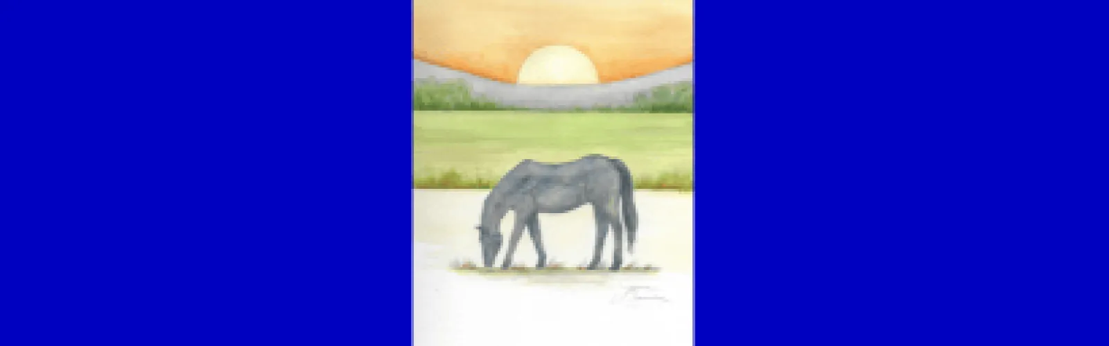horse and sunset.