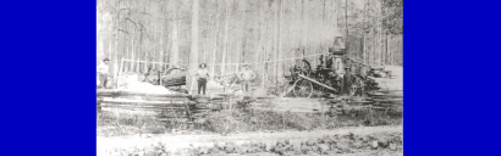 three men standing in front of woods  steam sawmill stack of boards