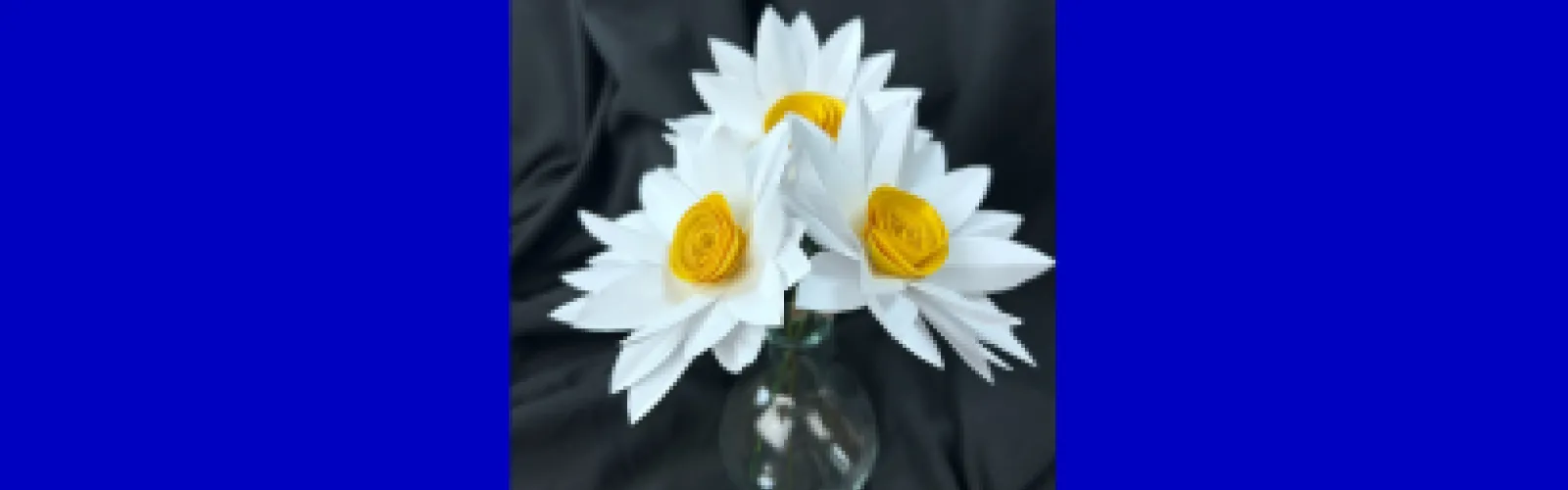 three white daisies in vase