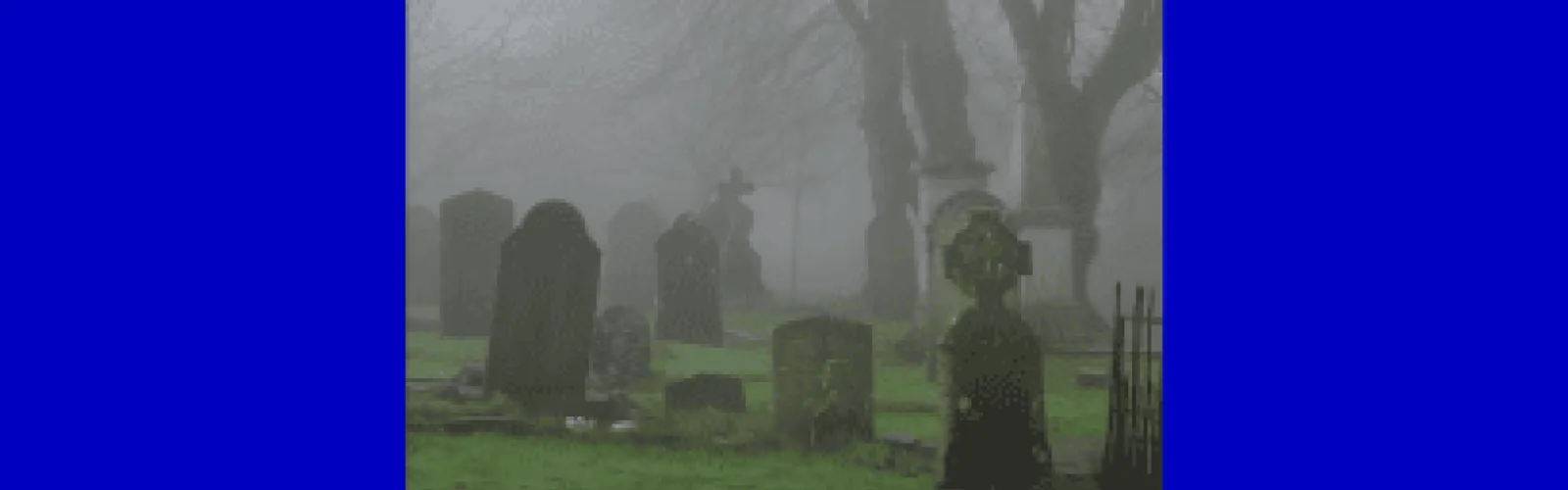 tombstones in a misty cemetery