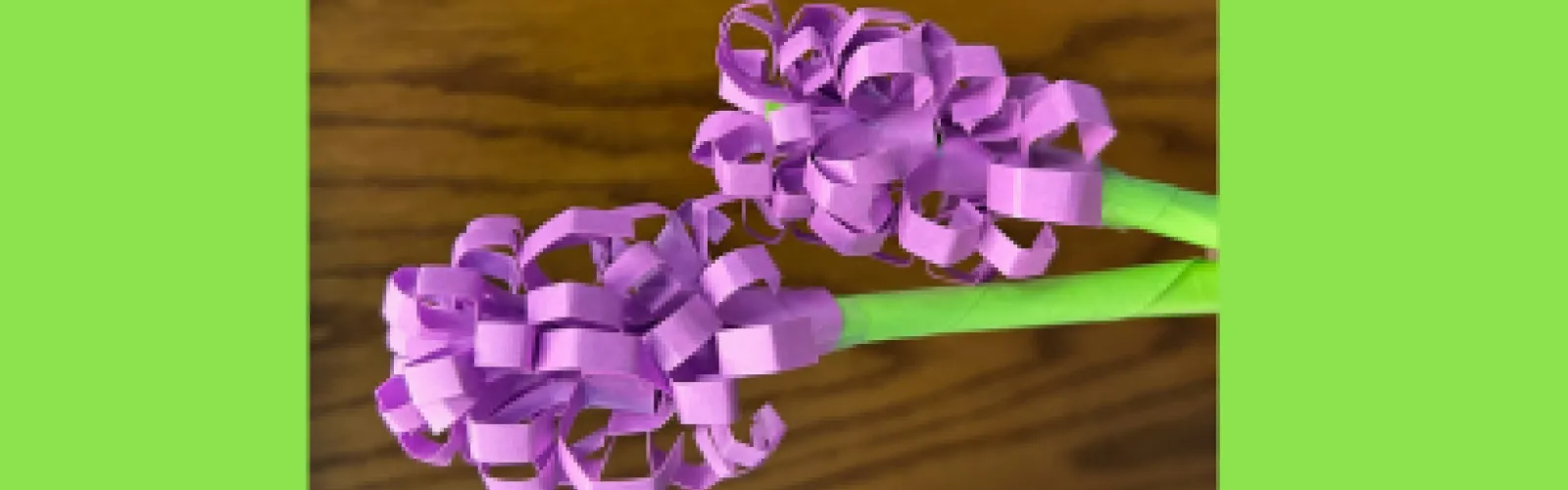 2 purple paper hyacinths