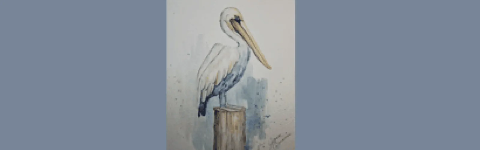 pelican sitting on top of post
