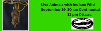 bat hanging from branch Live animals with Indiana Wild September 19 10 am Continental 12 pm Ottawa